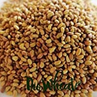Semillas de alfalfa ecológicas para germinar (1Kg)